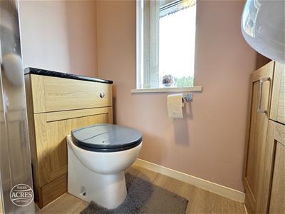 Picture 27
